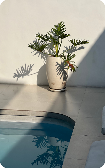 Pool Plumbing Repair